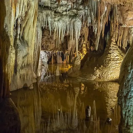 In - Istrien 10034 Lejlighed *