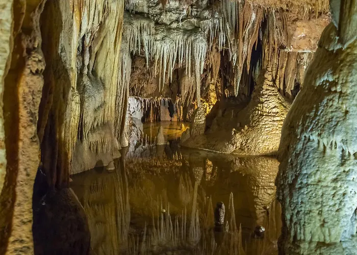 In - Istrien 10034 Lejlighed *